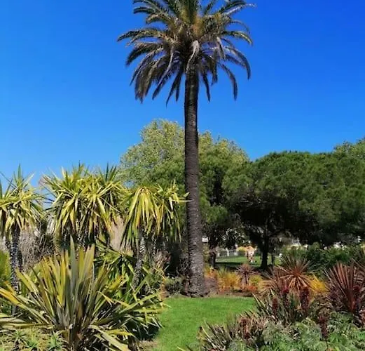 Apartment Renove A Antibes, A 10 Min A Pied Antibes