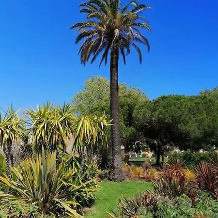 Апартаменти Renove A Antibes, A 10 Min A Pied Антіб